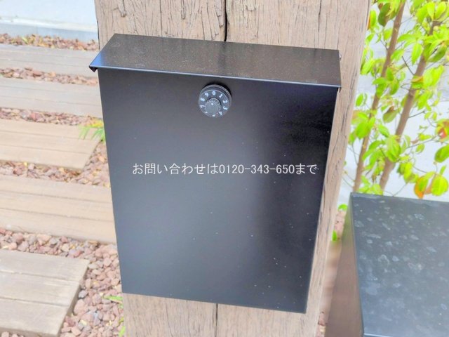 撮影日(2025-06-23 00:00:00)