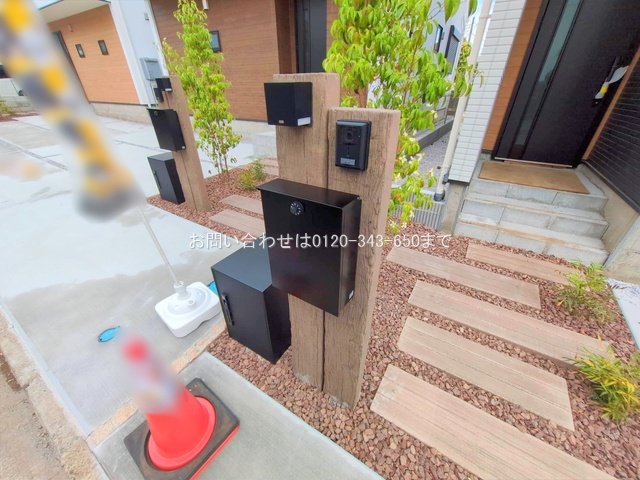 撮影日(2025-06-23 00:00:00)