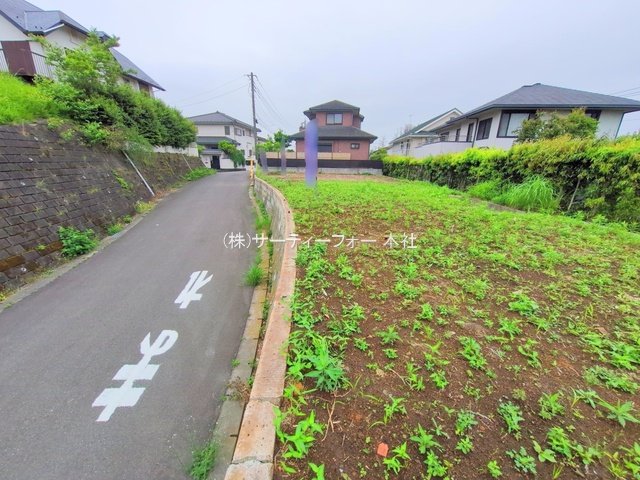 撮影日(2025-05-19 00:00:00)