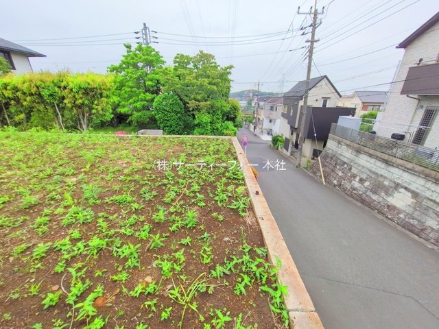 撮影日(2025-05-19 00:00:00)