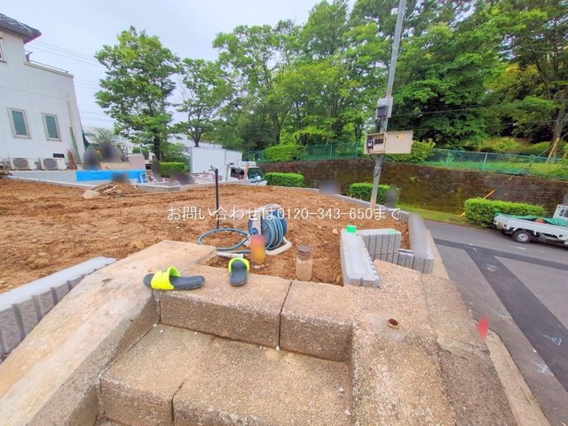 撮影日(2025-05-19 00:00:00)