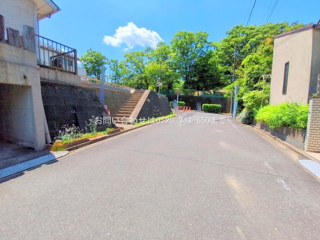 撮影日(2025-06-05 00:00:00)