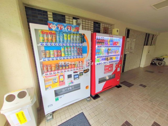 撮影日(2025-05-21 00:00:00)