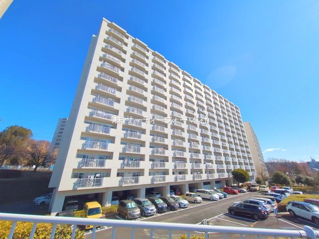 撮影日(2025-02-06 00:00:00)