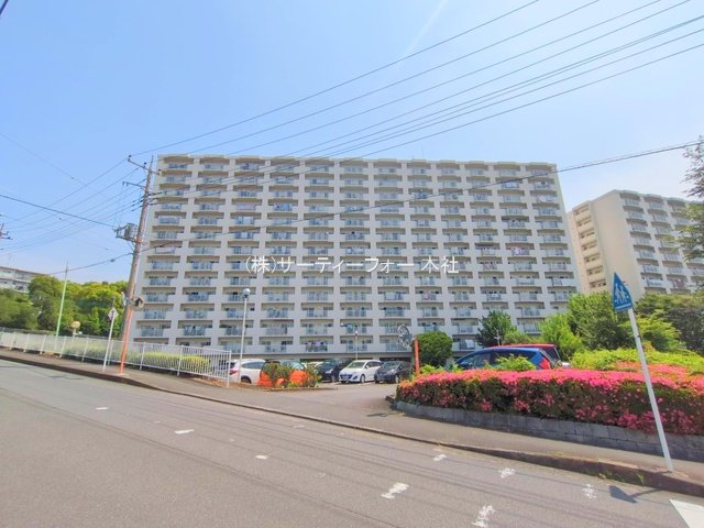 撮影日(2025-05-21 00:00:00)