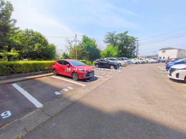 撮影日(2025-05-21 00:00:00)