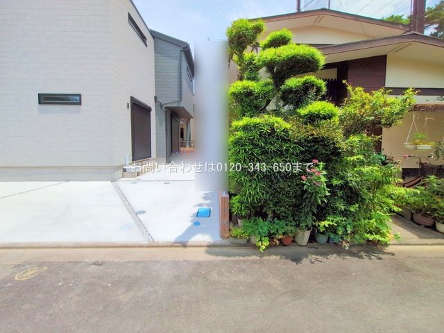 撮影日(2025-07-01 00:00:00)