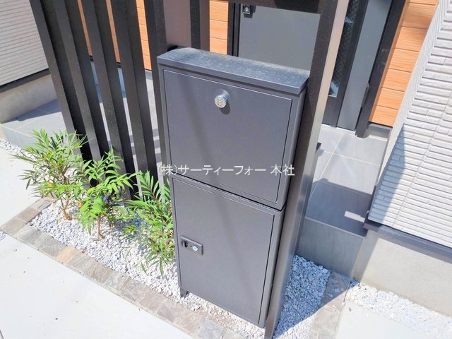 撮影日(2025-06-05 00:00:00)