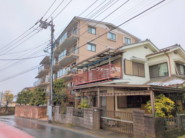 撮影日(2025-03-05 00:00:00)
