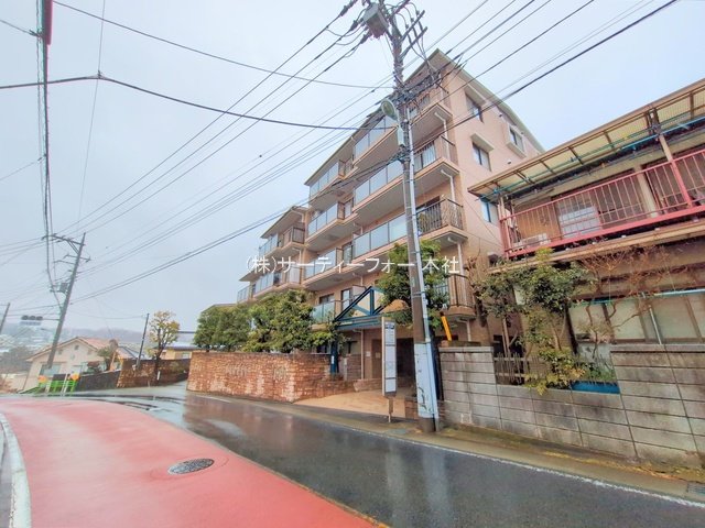 撮影日(2025-03-05 00:00:00)