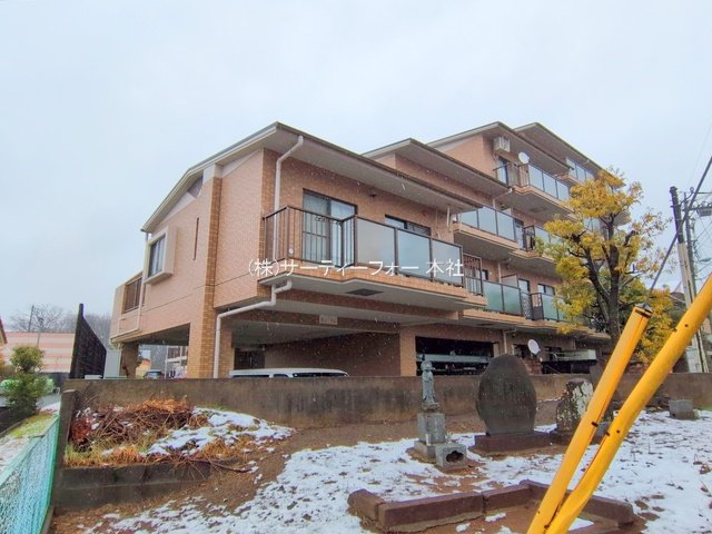 撮影日(2025-03-05 00:00:00)