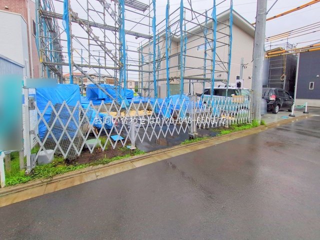 撮影日(2025-06-11 00:00:00)