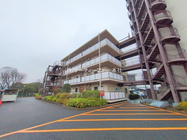 撮影日(2025-03-12 00:00:00)