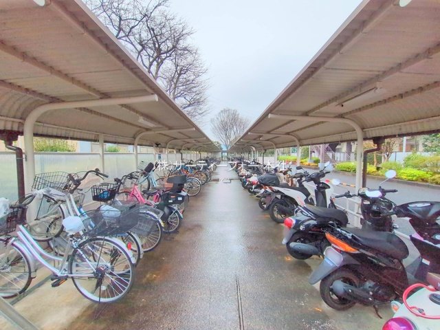 撮影日(2025-03-12 00:00:00)