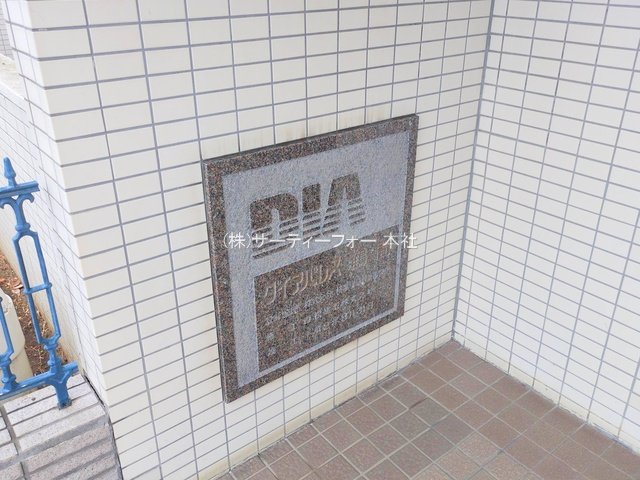 撮影日(2025-03-12 00:00:00)