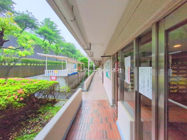 撮影日(2025-05-30 00:00:00)