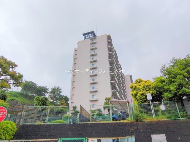 撮影日(2025-05-30 00:00:00)