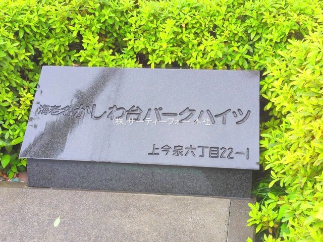 撮影日(2025-05-30 00:00:00)