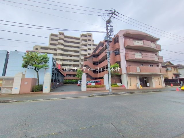 撮影日(2025-05-30 00:00:00)