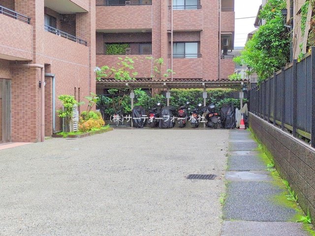 撮影日(2025-05-30 00:00:00)