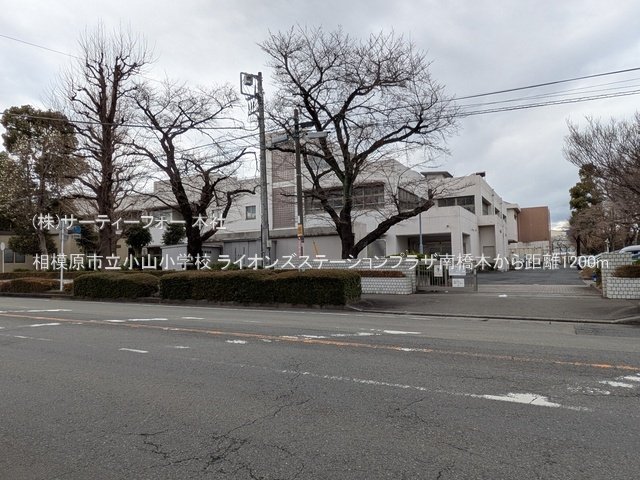 相模原市立小山小学校 撮影日(2025-03-18) 1200m