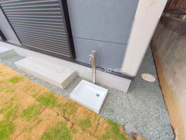 撮影日(2025-06-24 00:00:00)