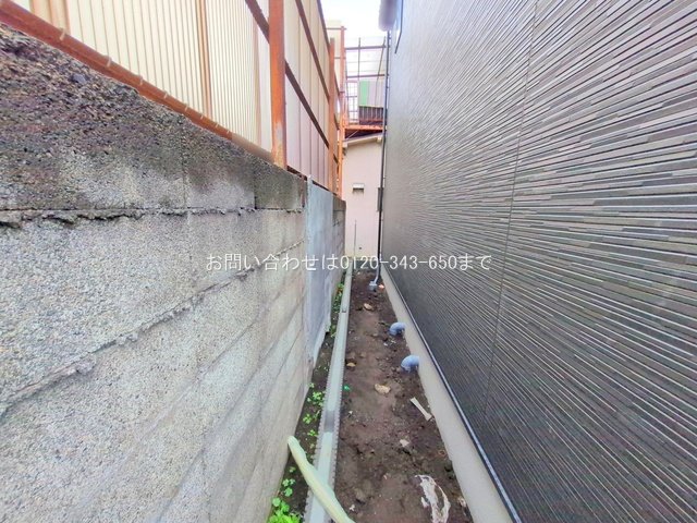 撮影日(2025-06-26 00:00:00)