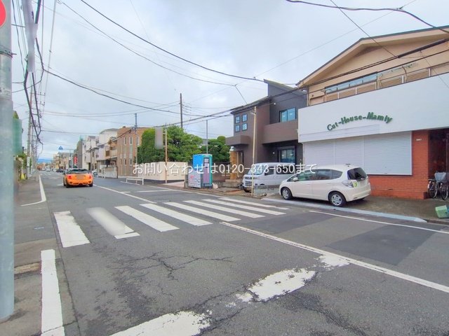 撮影日(2025-06-26 00:00:00)