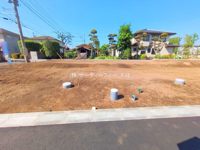 撮影日(2025-06-17 00:00:00)