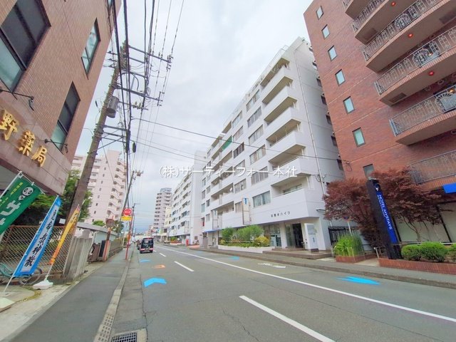 撮影日(2025-06-02 00:00:00)