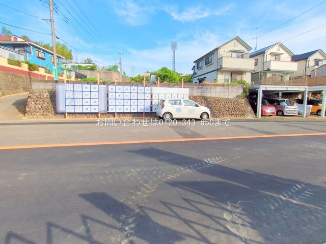 撮影日(2025-06-06 00:00:00)