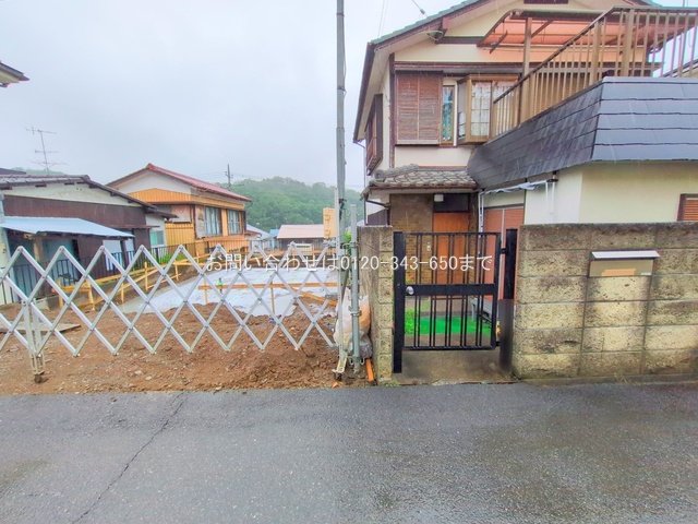 撮影日(2025-06-11 00:00:00)