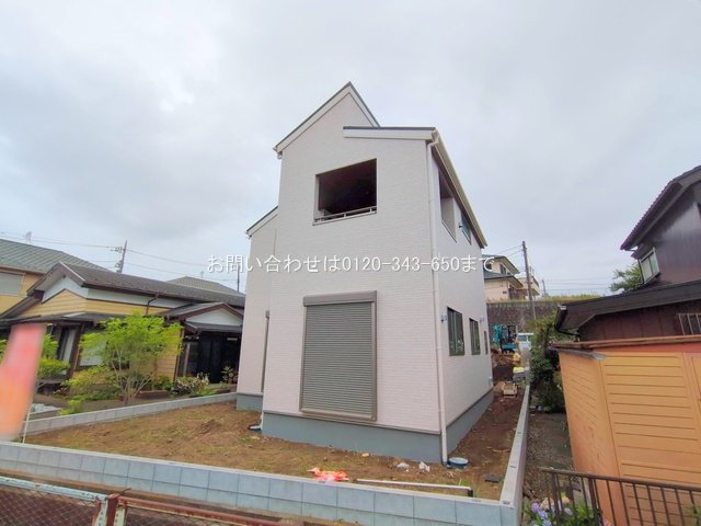 撮影日(2025-06-24 00:00:00)