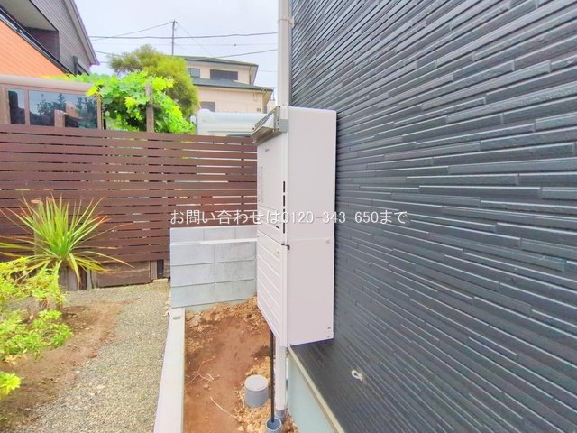 撮影日(2025-06-24 00:00:00)