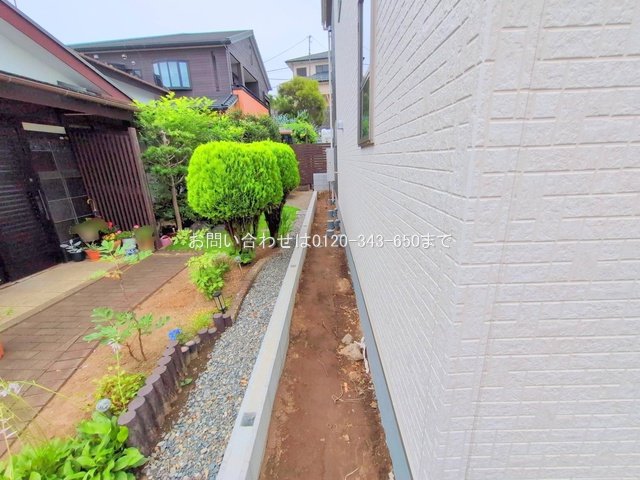撮影日(2025-06-24 00:00:00)