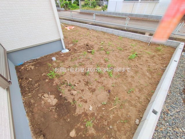 撮影日(2025-06-24 00:00:00)