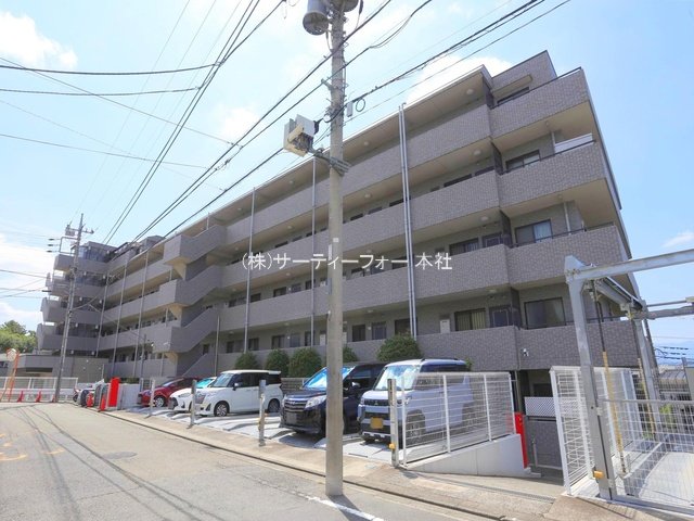 撮影日(2024-09-04 00:00:00)