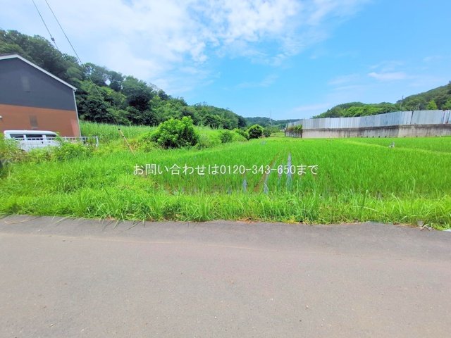撮影日(2025-07-02 00:00:00)