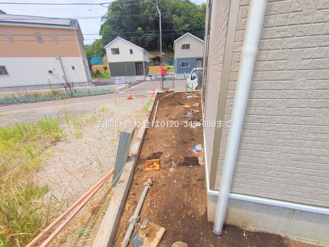 撮影日(2025-07-02 00:00:00)