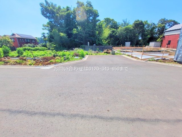 撮影日(2025-06-17 00:00:00)