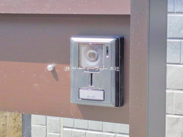 撮影日(2025-06-19 00:00:00)