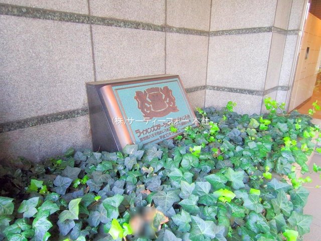 撮影日(2025-06-12 00:00:00)