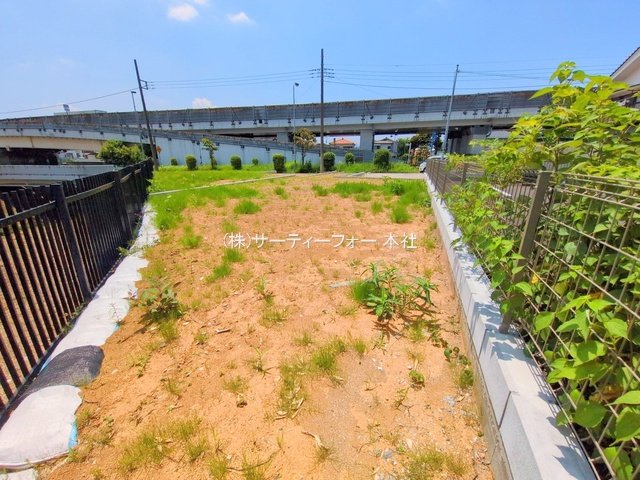撮影日(2025-06-19 00:00:00)