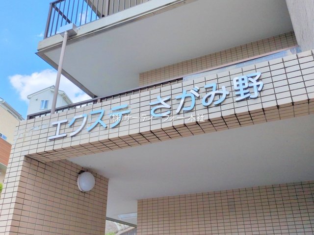 撮影日(2025-06-18 00:00:00)
