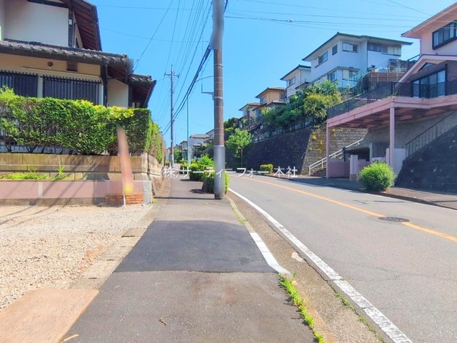 撮影日(2025-06-05 00:00:00)