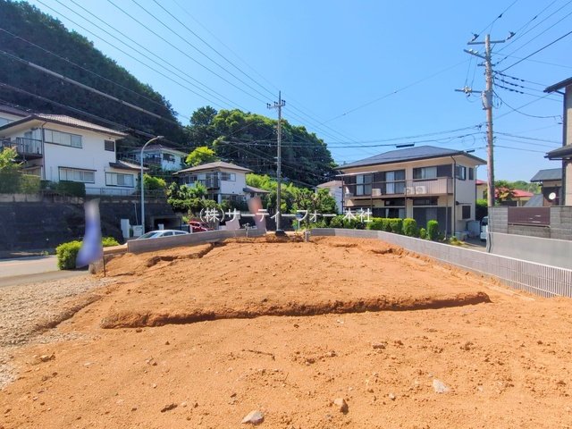 撮影日(2025-06-05 00:00:00)