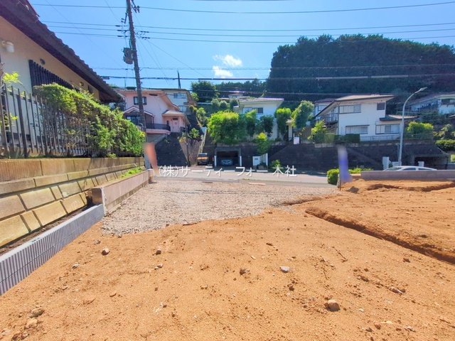 撮影日(2025-06-05 00:00:00)