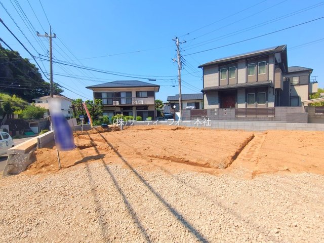撮影日(2025-06-05 00:00:00)