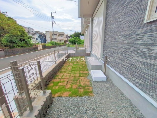 撮影日(2025-06-23 00:00:00)