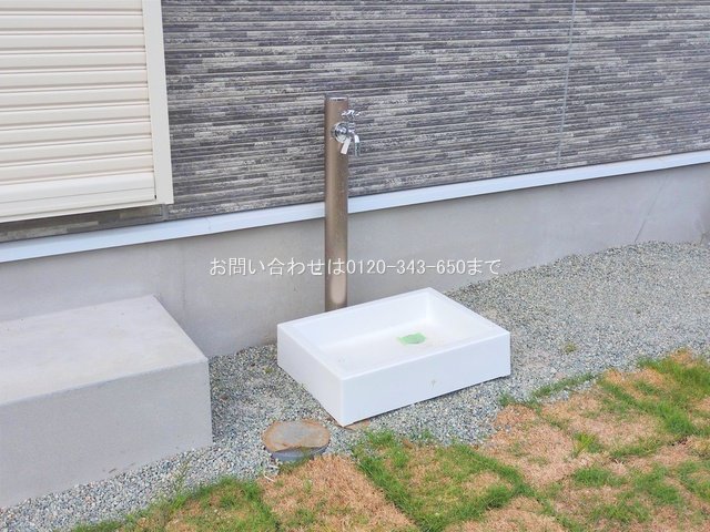 撮影日(2025-06-23 00:00:00)